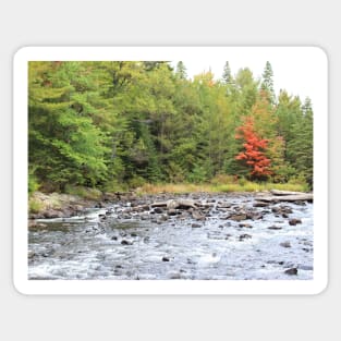 Rivers Edge - Algonquin Provincial Park Sticker